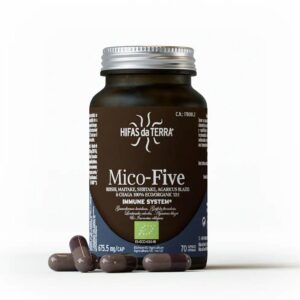 MICO-FIVE